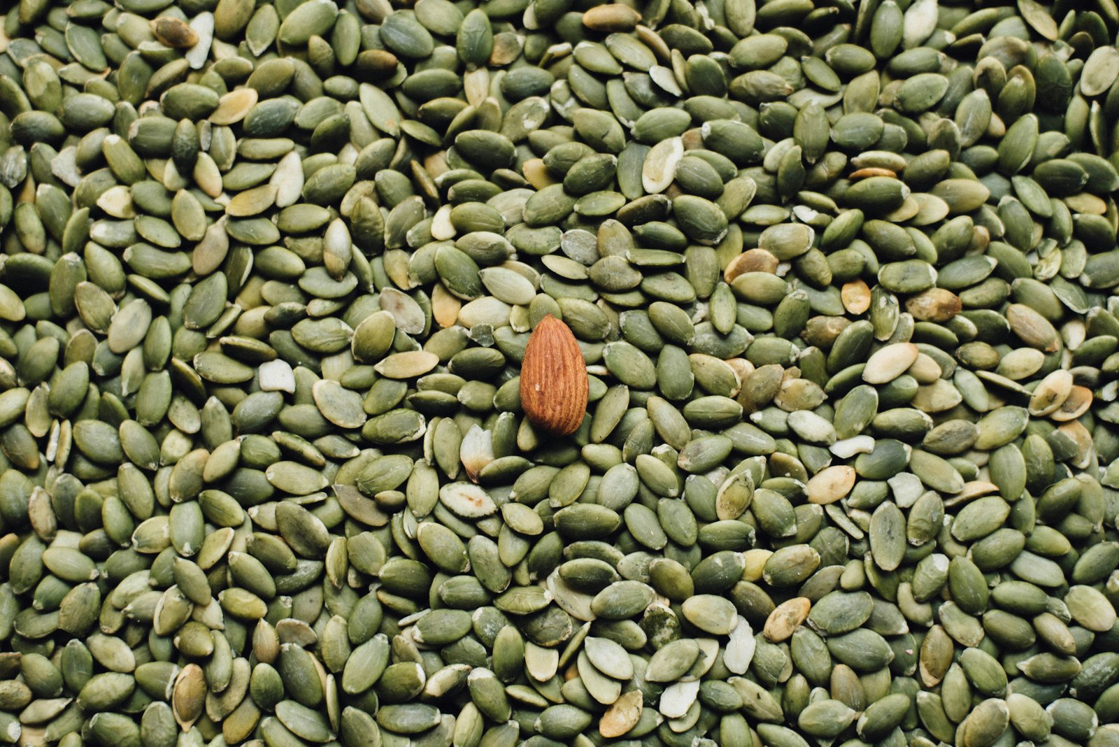 Pumpkin Seeds Kernel